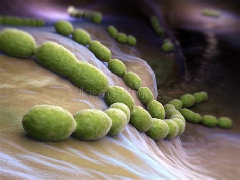Streptococcus Pneumoniae Bacteria 3d Scientific Illustration Stock