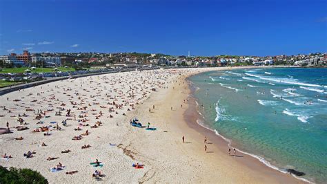 Man spots shark in shallows while swimming with daughter. Australia Country Profile - National Geographic Kids