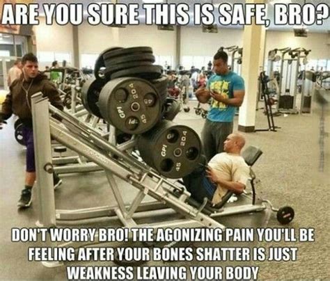 leg press all the things funny gym pictures gym humor gym jokes