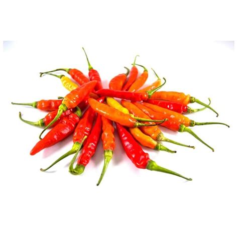 Devil png images free download. Cabe Rawit Gambar Cabe Kartun Png - Ghana tips