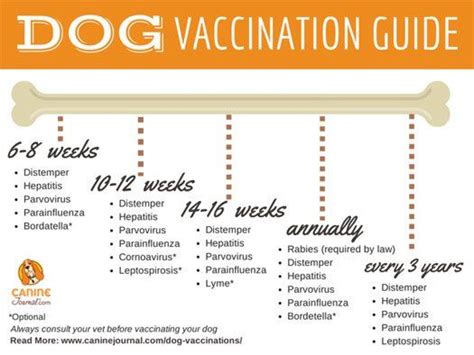 What shots do puppies need? Updated Learning: Dog Vaccination Schedule Chart