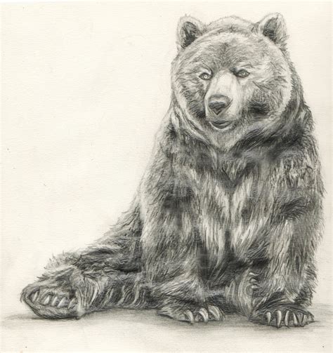 Sammy Jo Tawn Stop Motion Bear Sketch