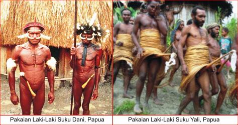 Masyarakat papua terdiri dari beberapa suku bangsa. Pakaian Adat Papua Lengkap, Gambar dan Penjelasanya