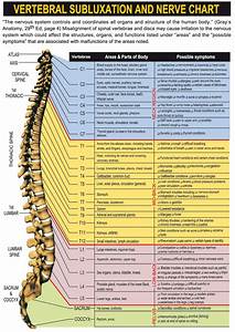 Nerve Chart Health And Beauty Pinterest Reflexology Exercises
