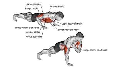 20 Different Types Of Push Ups For Mass And Strength