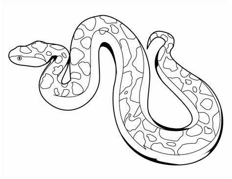 Python Coloring Pages - Coloring Home