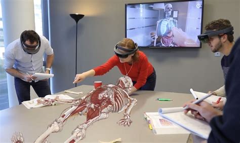 Virtual Anatomy Healthcare Simulation