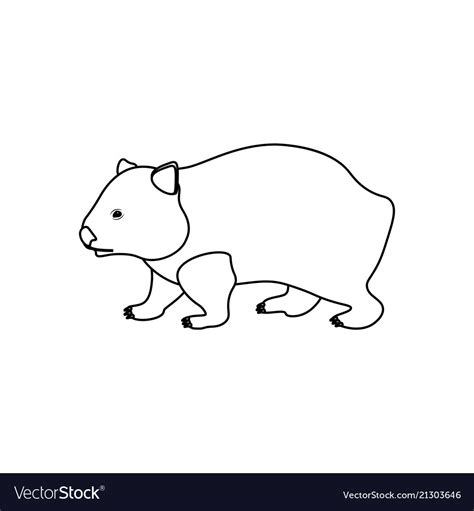 Wombat Coloring Pages Royalty Free Vector Image