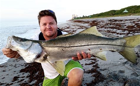 How To Catch Summer Snook On The Beach Tackle Crafters