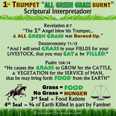 Scriptural Interpretation Of Grass In The 1st Trumpet Of The Book Of