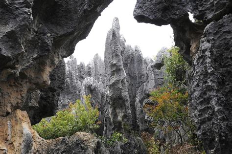 Shilin Stone Forest 7 From Kunming To Jianshui Pictures China