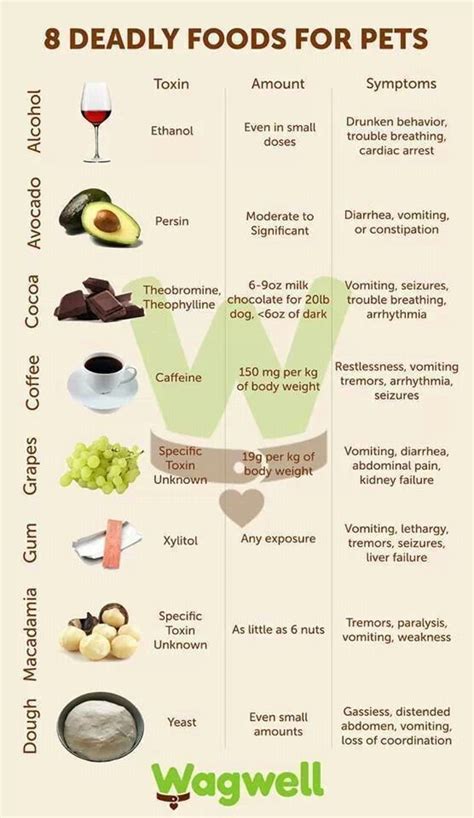 Since we think it is super healthy and reasonably priced. Pin by Dogvills on Dog Health Tips | Dog food recipes, Pet care, Pet hacks