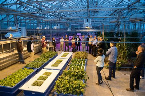 Cornell Group Explores Future Of Indoor Farming Cornell Small Farms