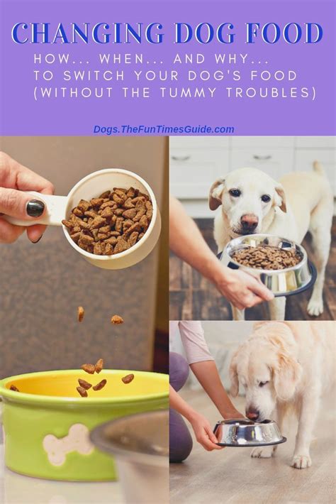 What you need to know is there are many reasons. Changing Dog Food: HOW To Transition Your Dog To A New ...