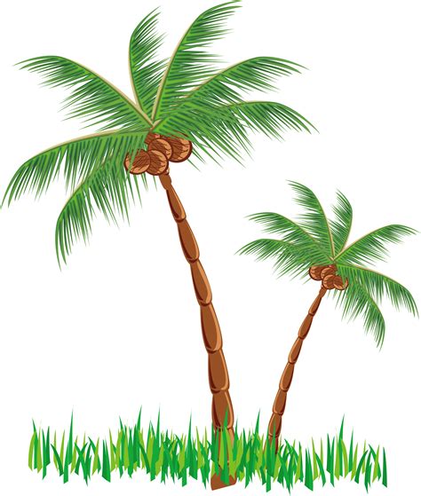 Coconut Tree Clipart Png Images And Photos Finder