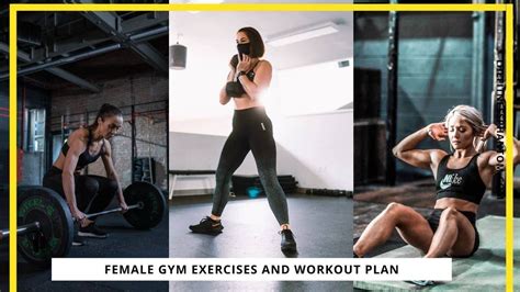 20 Best Exercises To Gain Weight For Females The Fitness Phantom
