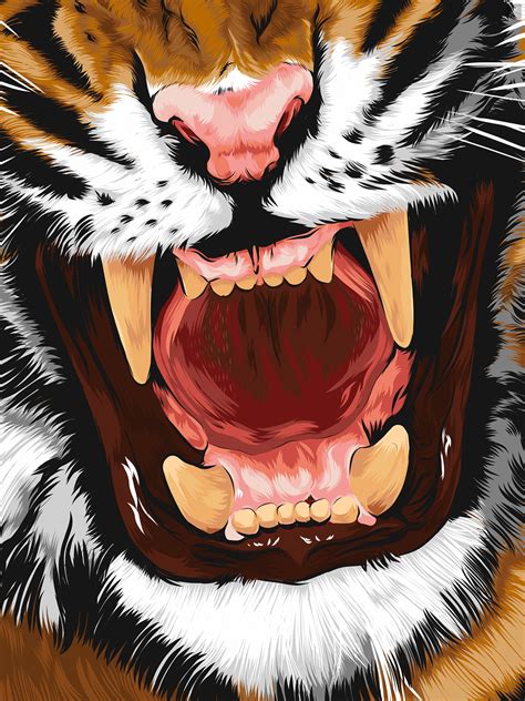 Tiger Illustration On Behance