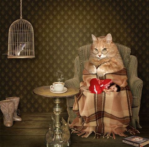 Funny Cat Photographs That Blows Your Mind A Cozy Evening Kociaki