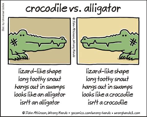Crocodile Vs Alligator Wrong Hands