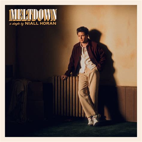 Niall Horan Unveils His Second Single Meltdown From The Show