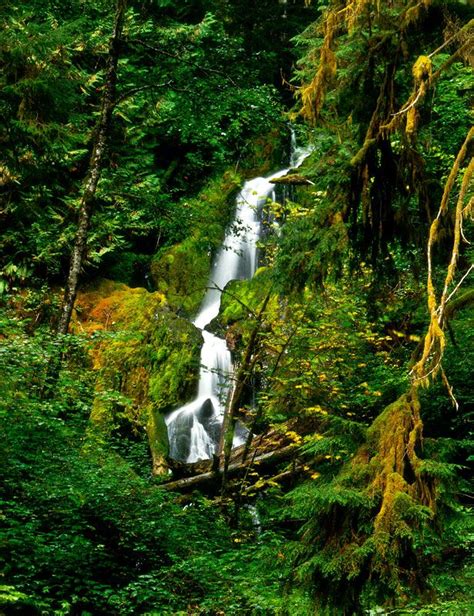 Mineral Creek Falls Olympic Peninsula Waterfall Trail Waterfall