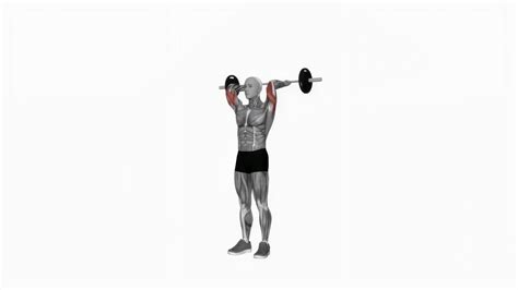 Barbell Standing Overhead Triceps Extension Fitness Exercise Workout Animation Video Male Muscle