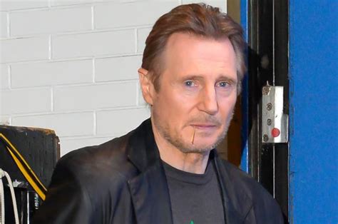 Liam Neeson Celebrates Cold Pursuit Amid Scandal