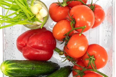 Ten Red Tomatoes On A Branch One Red Bell Pepper Four Large Cucumbers