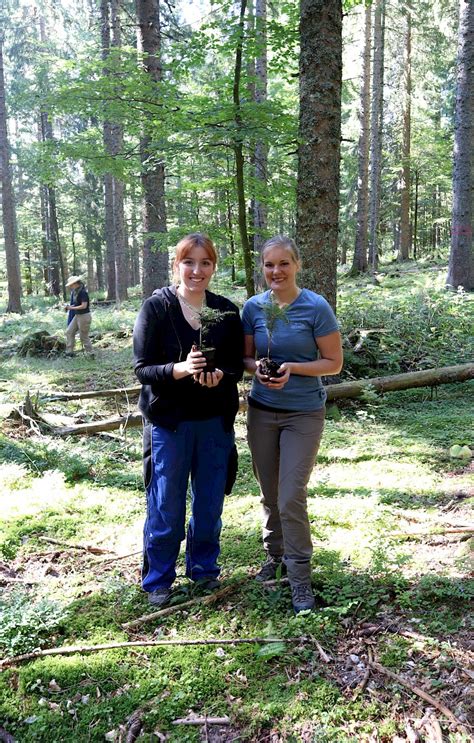 Spielberger mühle hier kannst du leckeres einkaufen! Der Wald wächst dank der Spielberger Mühle