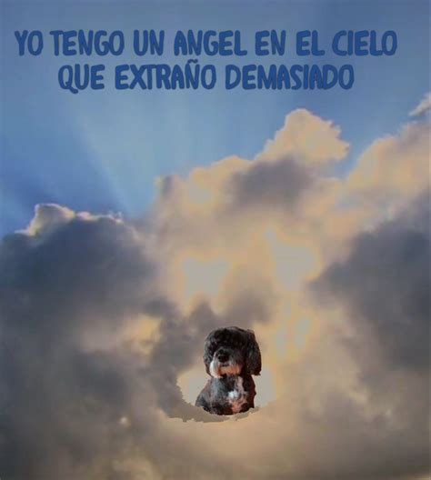 Frases Para Un Angel En El Cielo Yerka