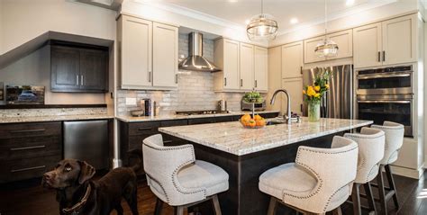 modern kitchen cabinetry performance kitchens and home manayunk
