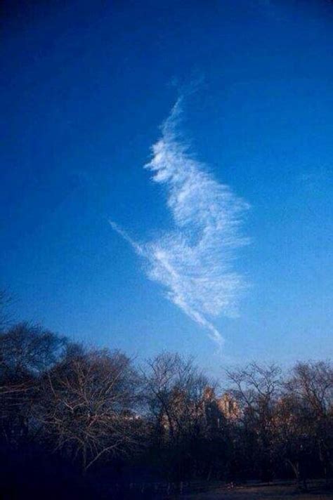 Cloud Formation Shapes That Look Like People And Things Photos Heavy