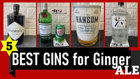 What Flavour Gin Goes With Ginger Ale Top 5 Brands Our 1 May