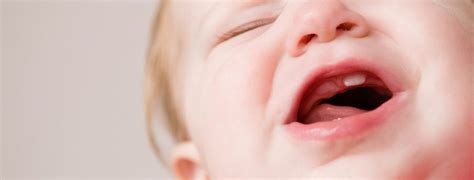 Auf jeden fall solltet ihr euch auch in eurem babyclub vorstellen. 43 HQ Pictures Wann Kriegen Babys Zähne : Was Hilft Bei ...