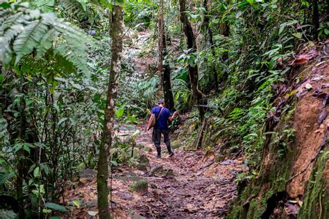 Amazon Rainforest To Salkantay Trek Peru Amazon Trek Tierras Vivas