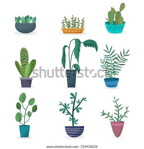 House Plants Flowers Pots Flat Cartoon Stock Vector Royalty Free