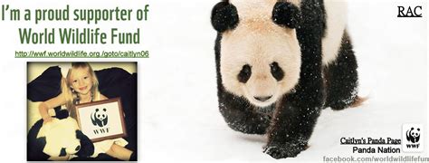 Help Save The Pandas My Daughters Panda Nation Page Save The Pandas Wwf Panda Panda