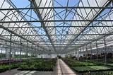 Images of Greenhouse Roof Glass