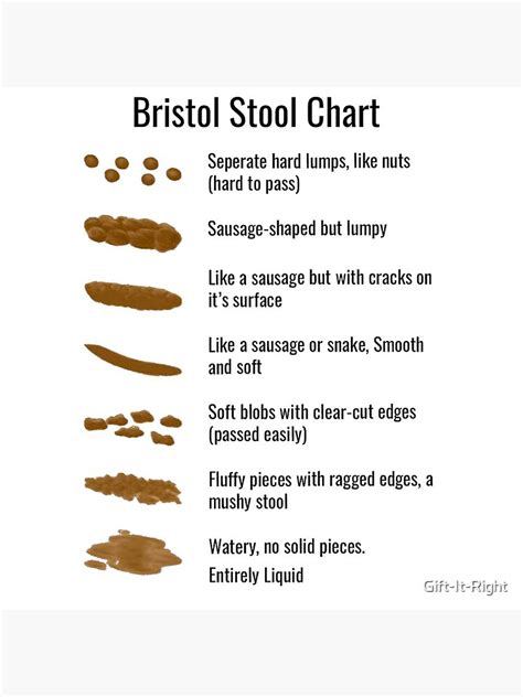 Bristol Stool Chart Printable Version Chart Images And Photos Finder