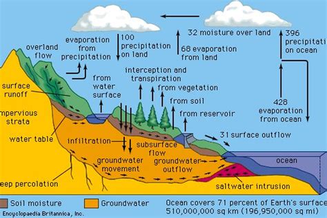 Documents similar to siklus air beserta gambar dan penjelasannya.pdf. Siklus Air: Pendek, Sedang, dan Panjang Halaman all ...