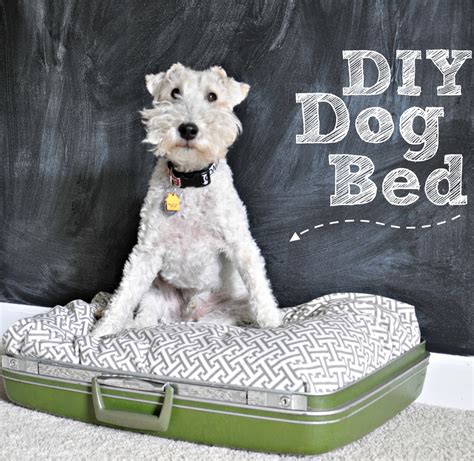 Diy Suitcase Dog Bed — Decor And The Dog