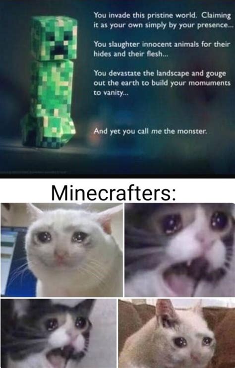 Cringey Posts That Are Supposed To Be Super Deep Minecraft