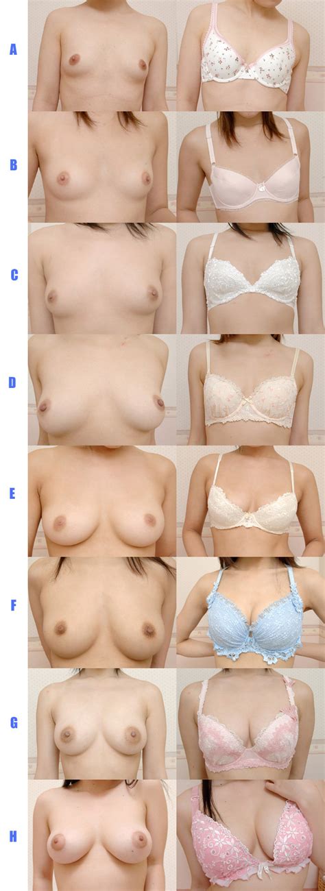 Yuki Sasame Highres Long Image Tall Image 6girls Asian Bra Breasts Bust Chart Chart