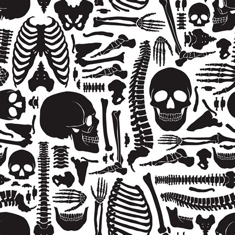 Human Bones Skeleton Pattern 483545 Vector Art At Vecteezy
