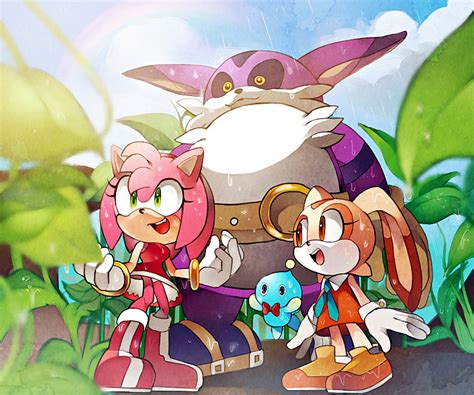 amy rose cream the rabbit chao cheese and big the cat sonic and 2 more drawn by naoko