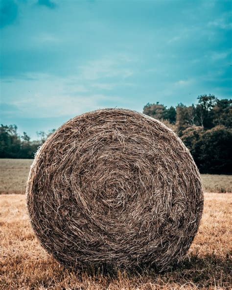 Vertical Shot Of Round Hay Bale In A Field Stock Image Image Of
