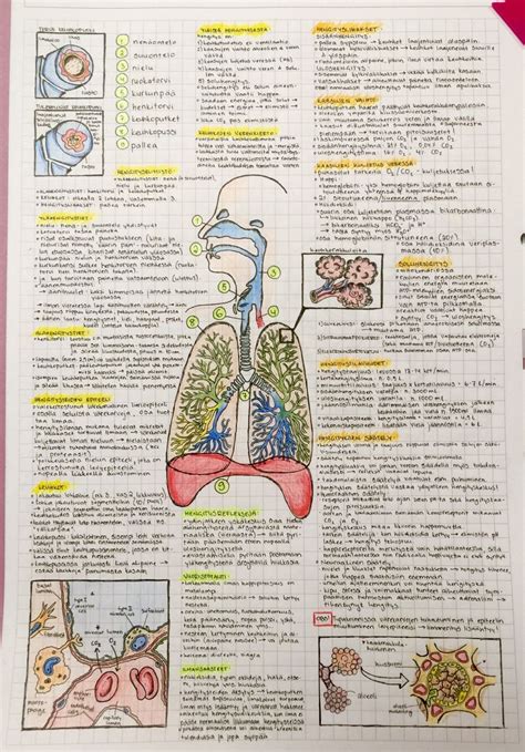 Strive Medical Student Study Study Notes Student Studying