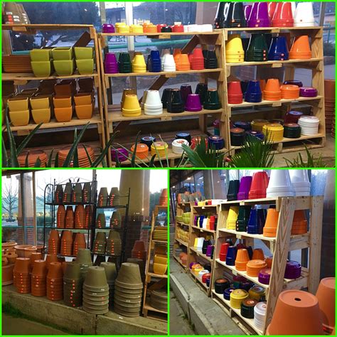 We did not find results for: Pin by Brian Wheat on Lafayette Florist Gift Shop and ...