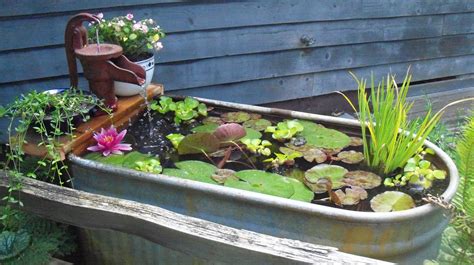Pin By Anelka On Stuff Outdoor Fish Ponds Ponds Backyard Container