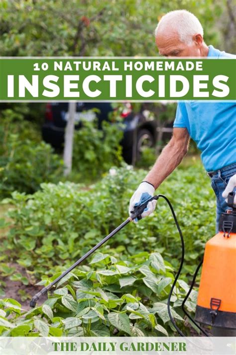 10 Natural Homemade Insecticides That Wont Hurt Your Garden